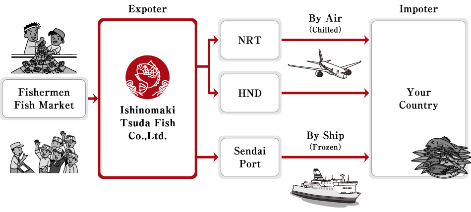 From Ishinomaki to the world by own structured oversea distribution logistics we deliver you fresh seafood.