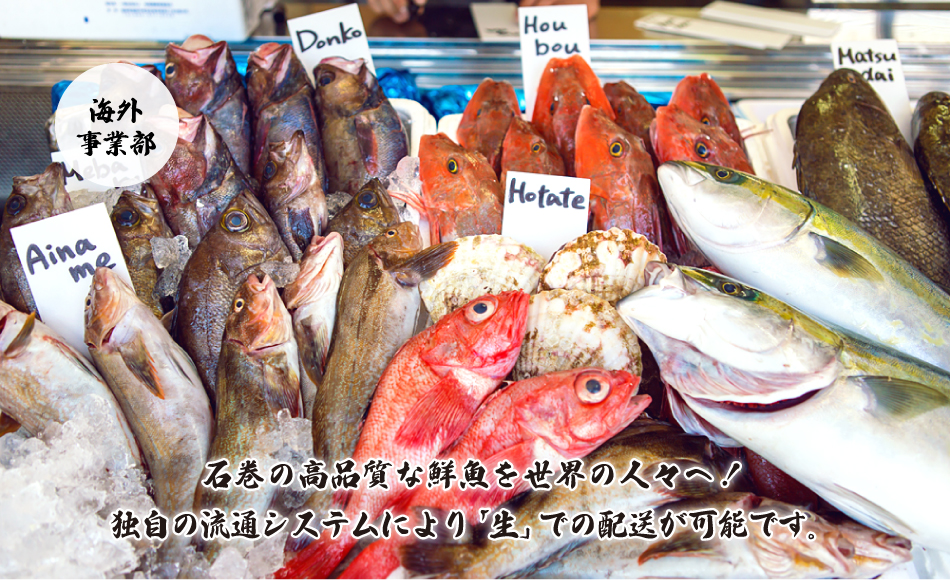 海外事業部　石巻の高品質な鮮魚を世界の人々へ！独自の流通システムにより「生」での配送が可能です。